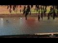 QLD Toowoomba - Location Video