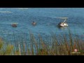 QLD Pacific Pines - Location Video