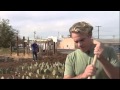 Backyard Composting