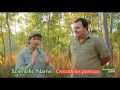 Daily Video Diaries - Richie talks about crocodiles at the Steve Irwin Wildlife Reserve!