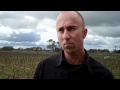 Winemaker Interview: Matt Caldersmith from Hollick