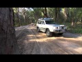 Fraser Island