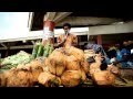 P&amp;O Experiences: City Highlights Tour - Port Vila, Vanuatu