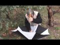 Catching insects using an umbrella and a pooter