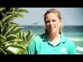 Lady Elliot Island Queensland Working Holiday