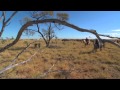 Harry Redford Cattle Drive, Queensland&#039;s Outback