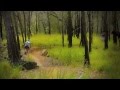 Real Insurance XCM Series - Round 4, Tablelands classic Atherton