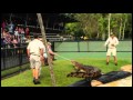 Australia Zoo Croc Move