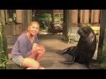 Return To Nim&#039;s Island - Video Blog: Animal stars