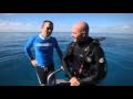 Scuba Diving on Great Barrier Reef - Best Adventure