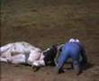 National Rodeo Finals - Tamworth 2003