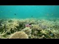 Australia&#039;s National Landscapes Nature Series - Great Barrier Reef - Karl Kuhle