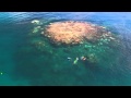 Great Barrier Reef Cruise - Glass Bottom Boat - Australia Vacations &amp; Tours