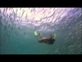 Le surf en Australie