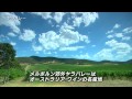 3月29日放送「朝だ！生です　旅サラダ　～まるごとオーストラリア　特