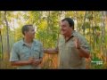 Daily Video Diaries - Jeremy&#039;s up at the Steve Irwin Wildlife Reserve tagging crocs!