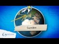 SWEDEN - High School Exchange - Destination Video