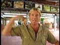 Australia Zoo Tour with Steve Irwin