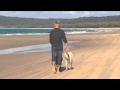 Pet friendly Stradbroke Island