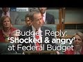 Shorten slams &#039;bigots and ideologues&#039; in Budget reply