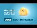 2012 year in review - ANIMALS AUSTRALIA