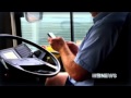 Bus Drivers | 9 News Sydney