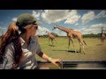 Animal Diaries series 2 - Up at our African Savannah