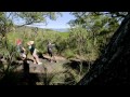 Cape Hillsborough, Mackay Area