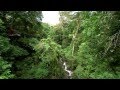 Cape Tribulation, Daintree National Park