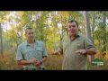 Daily Video Diaries - Tom tells us about croc catching in North Queensland