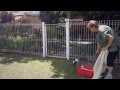 Tinsel the Magpie returns to the wild