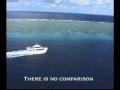 Great Barrier Reef Cruise, Port Douglas - Australia Vacations