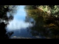 Australia&#039;s National Landscapes Nature Series - Australian Alps - David Hunter