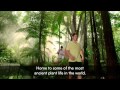 There's Nothing Like Australia: Queensland