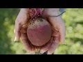 Australian Food Foraging - Margaret River Gourmet Escape