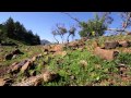 Australia&#039;s National Landscapes Nature Series - Flinders Ranges - Brendon Bevan