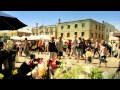 Tasmânia - Descubra por que nada se compara à Austrália