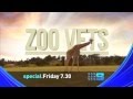 Zoo Vets | 9 News Special Presentation