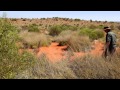 Australia&#039;s National Landscapes Nature Series - Red Centre - Rex Neindorf