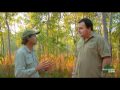 Daily Video Diaries - Richie tells us about Crocs in North Queensland