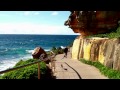 Friends of Australia: Michael Moore on  the Bondi to Coogee coastal walk