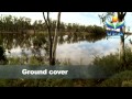 Floods: Natural Hazards Series