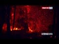 9 News coverage of the Tasmanian Bushfire Crisis