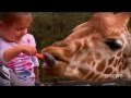 Taronga Zoo | 9 News Sydney