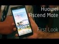 First Look: Huawei Ascend Mate 6.1&quot; GIANT PHABLET