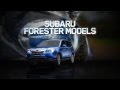 One-off Driveaway Prices - Subaru Forester | Official Subaru Australia