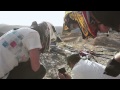 New Forester TVC - The Making Of | Official Subaru Australia