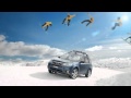 Forester X Special Edition TVC | Official Subaru Australia
