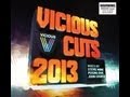 Vicious Cuts 2013 Megamix