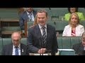 &#039;Booby trap from boobies opposite&#039;: Pyne